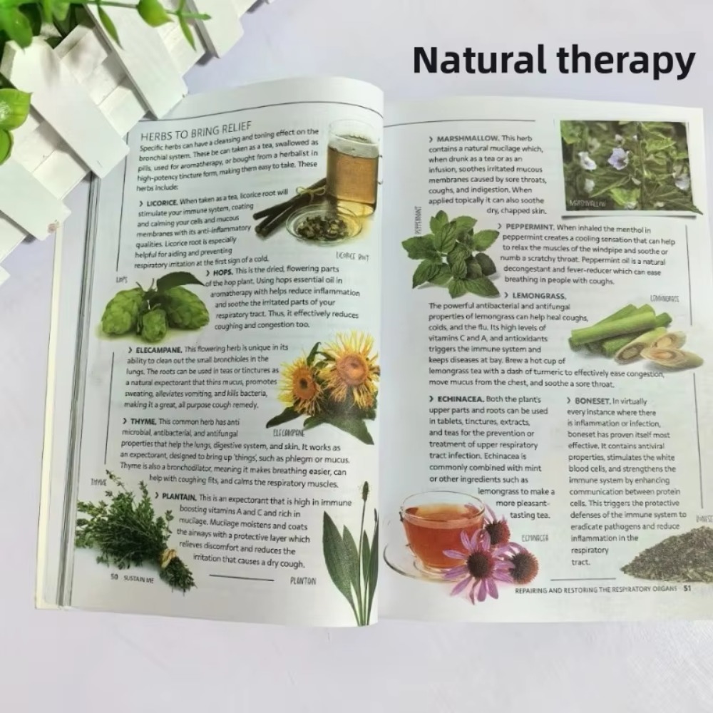Sustain Me Barbara O'Neill A H - Health Wellness Lifestyle ulasan dan harga